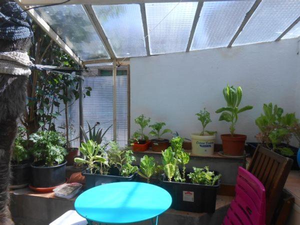 Maison Palmeral Coustaussa Eksteriør billede